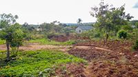 L&auml;ndliche Umgebung von Kigoma